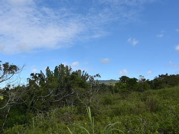Terrain Agricole