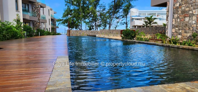 Superbe Appartement Pieds dans l’Eau à Poste Lafayette