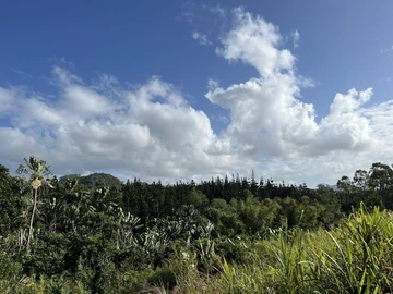 Agricultural Land
