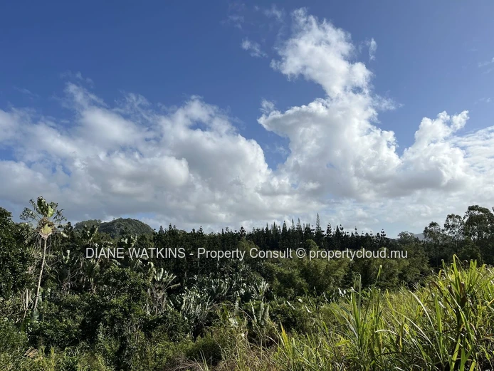 For Sale - Beautiful Agricultural Plot Bordering a River in Deux Bras.