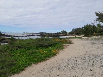 Residential Land