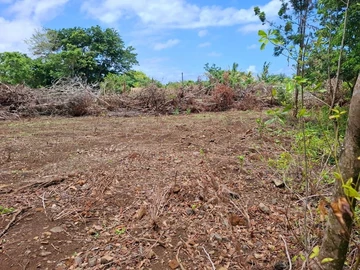 Terrain Agricole
