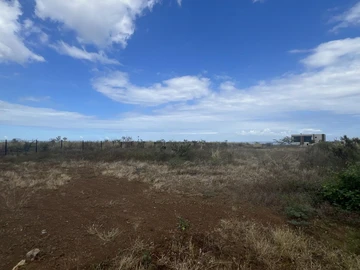 Terrain