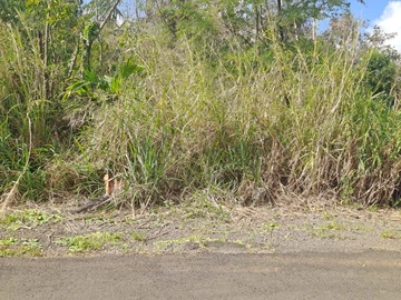 Residential Land