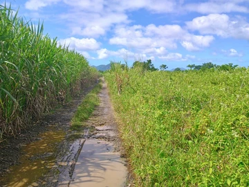 Terrain Agricole