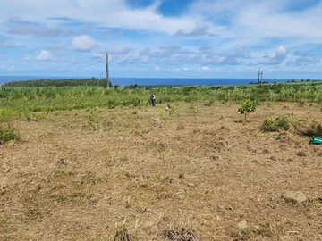 Agricultural Land