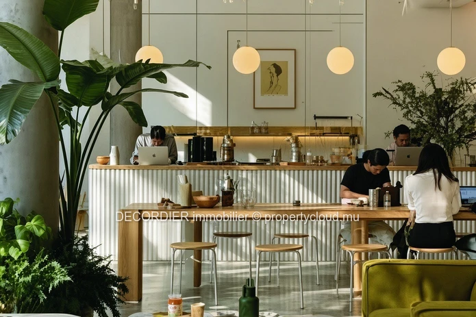À Vendre — Locaux Commerciaux & Bureaux À Flic-En-Flac
