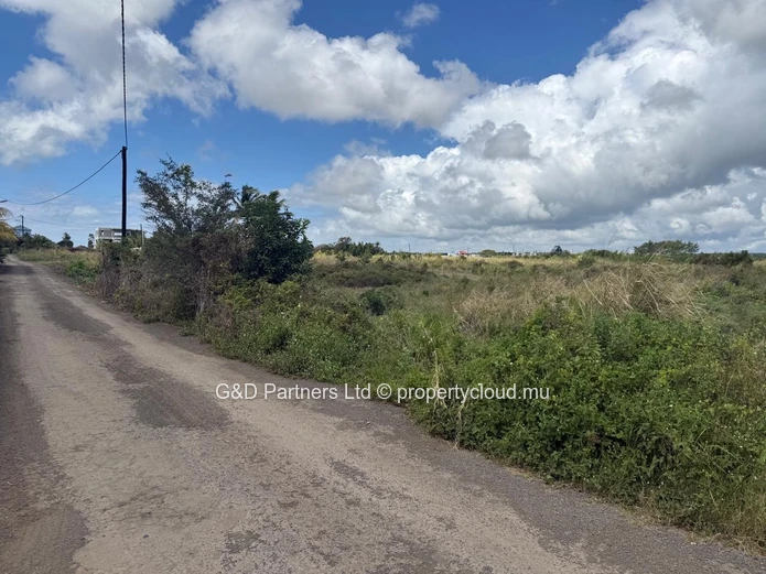 Investment Opportunity Land For Sale — Petit Raffray / Mont Mascal