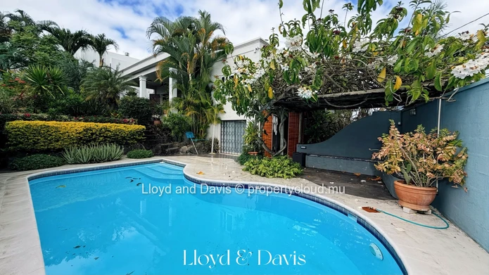 Charming Tropical Artist's Villa Available for Rent