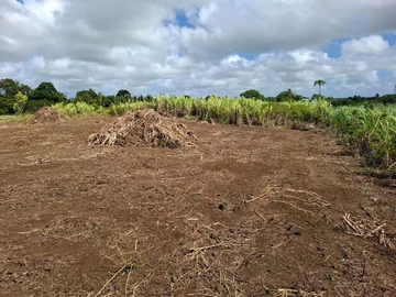Residential Land