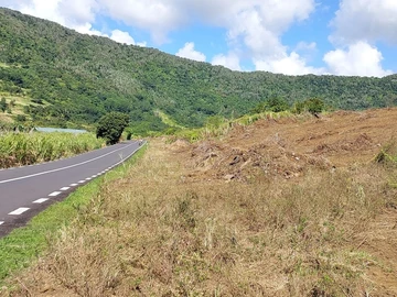 Agricultural Land