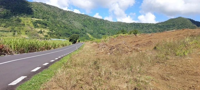 Agricultural Land For Sale – Clémencia (Sole Mandate)