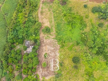 Residential Land