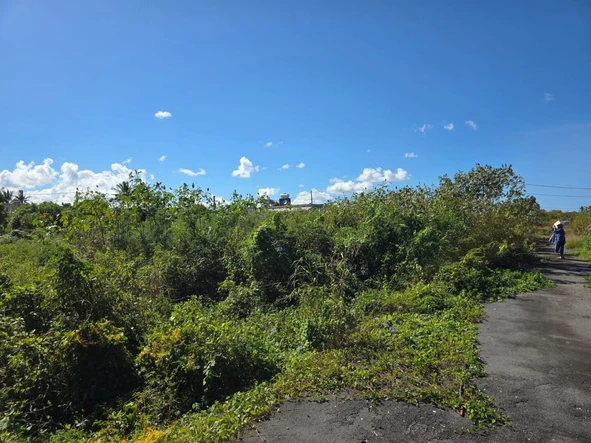 Residential Land