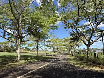 Terrain