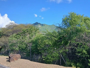 Residential Land
