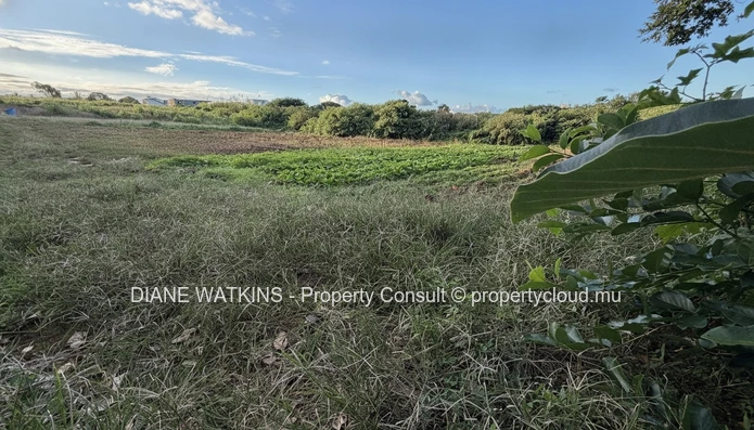 Terrain résidentiel à vendre à Rose Belle, Maurice – 40 perches dans un secteur en plein essor