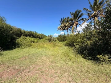 Residential Land