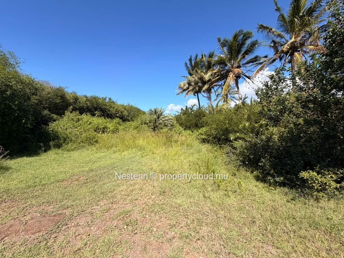 Terrain exceptionnel de 675,35 m² 