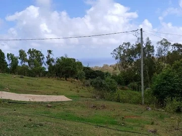 Commercial Land