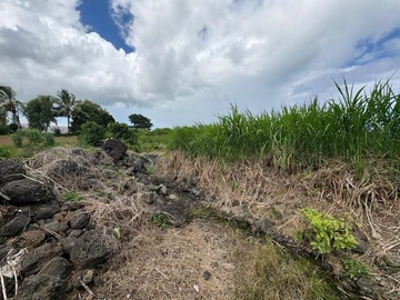 Agricultural Land