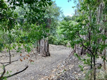 Residential Land