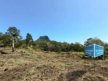 Terrain