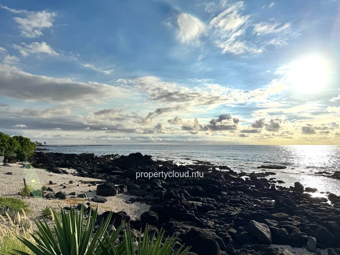Exclusivité – Flic En Flac – Bien Rare En Bord De Mer