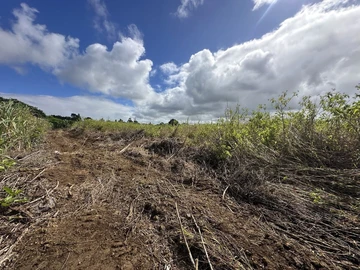 Agricultural Land