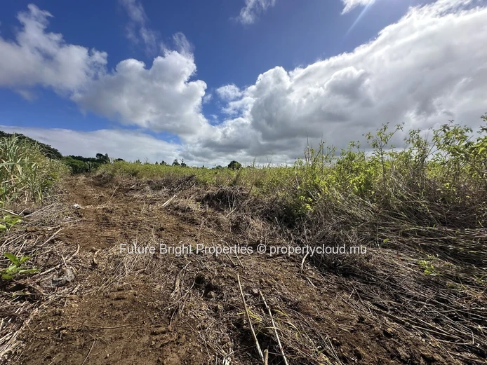 206 perches Agricultural Land for Sale in Providence Quartier Militaire.
