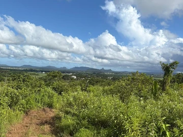 Agricultural Land