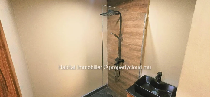 Penthouse neuf à Flic-en-Flac 