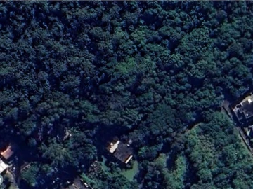 Terrain