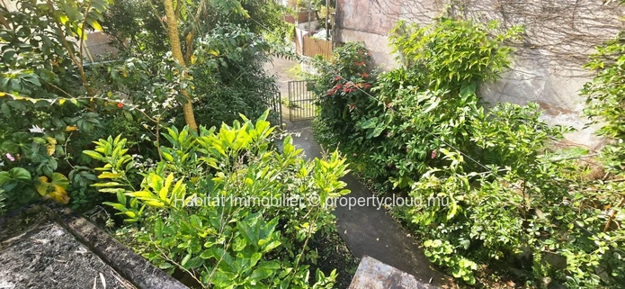Freehold residential land of 98 toises at Curepipe