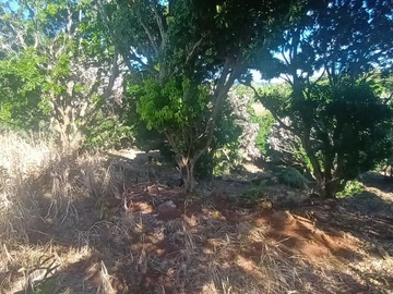 Terrain Agricole
