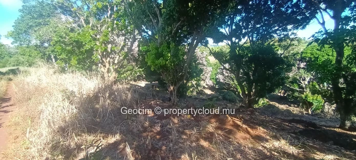 D'Epinay close to Pamplemousse Agricultural freehold plot of land 18572 sqm. River. Lichtis plantation. Water & Elect... (Sole Mandate)