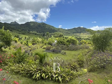 Residential Land