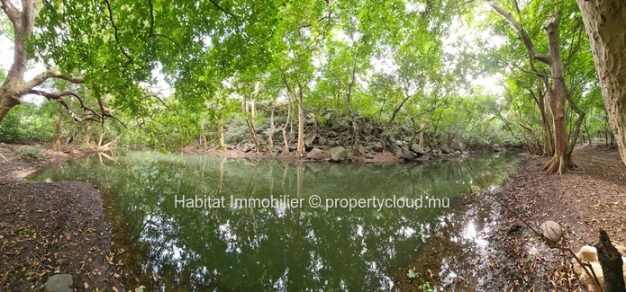 FOR SALE - Unique land of 7 acres has generous dimensions connected to the Tamarin River for a high class development.