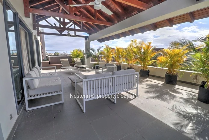 Magnificent 3-Bedroom Penthouse in Choisy-les-Bains
