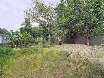 Land