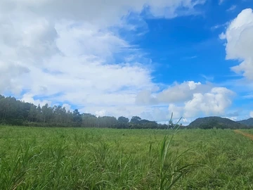 Agricultural Land