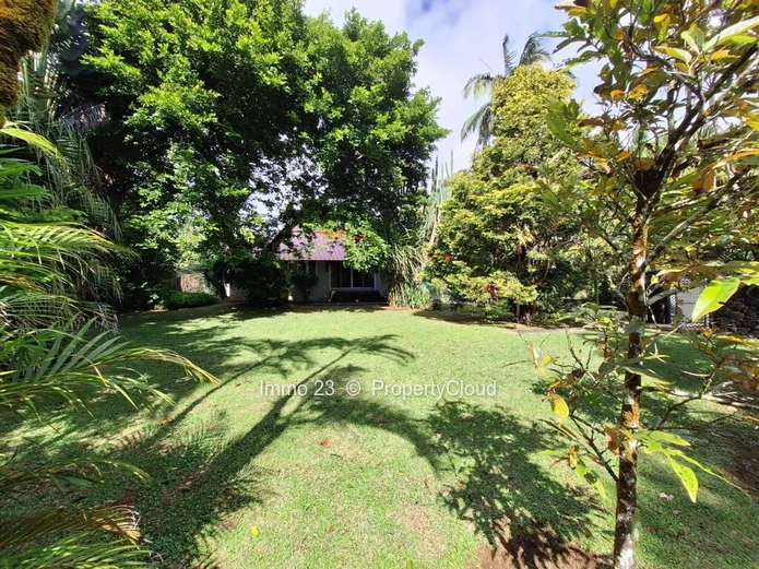House for rent