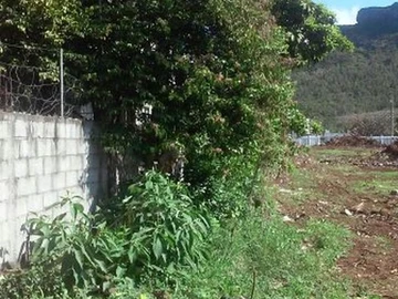 Terrain Agricole
