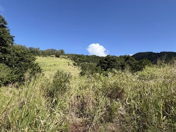 Agricultural Land