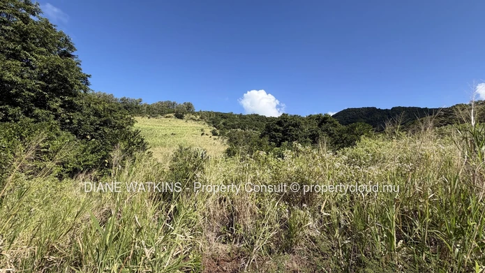 Terrain de 12 580 m² avec vue sur la montagne à vendre à Anse Jonchée, île Maurice | Opportunité éco-responsable et a...