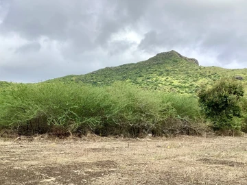Residential Land