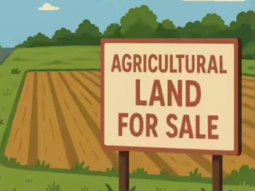 Agricultural Land