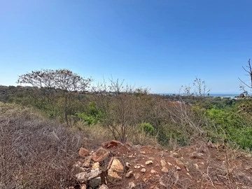 Terrain