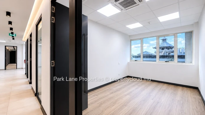 445 m² Office Space for Rent in Caudan | Multi-Unit Commercial Workspace