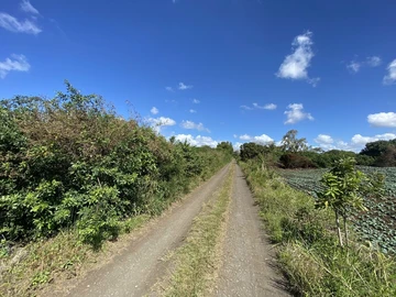 Agricultural Land